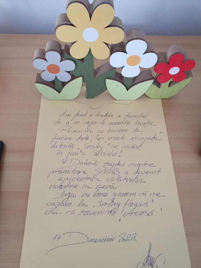 Smiley Flowers Sibiu Ngoại thất bức ảnh